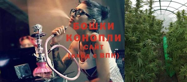 эйфоретик Инсар