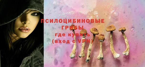 метадон Каменск-Шахтинский