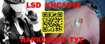 герыч Кингисепп