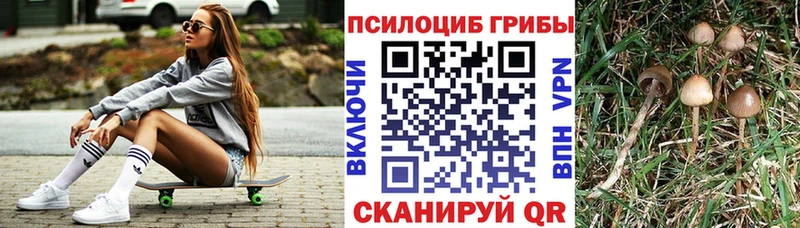 Галлюциногенные грибы прущие грибы Коряжма