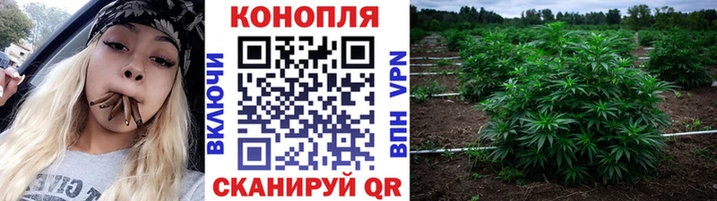 Бошки Шишки VHQ  нарко площадка официальный сайт  Коряжма 